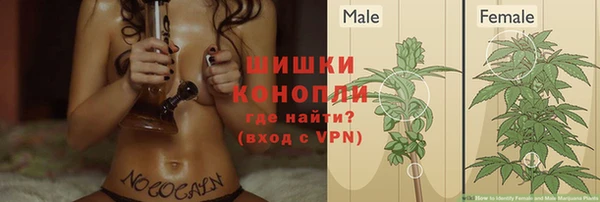 стафф Зеленодольск