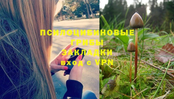 стафф Зеленодольск